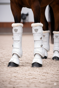 Guêtres dressage cheval